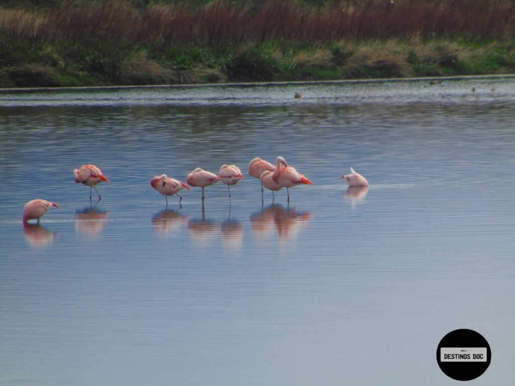 Reserva Ecológica Municipal Laguna Nimez