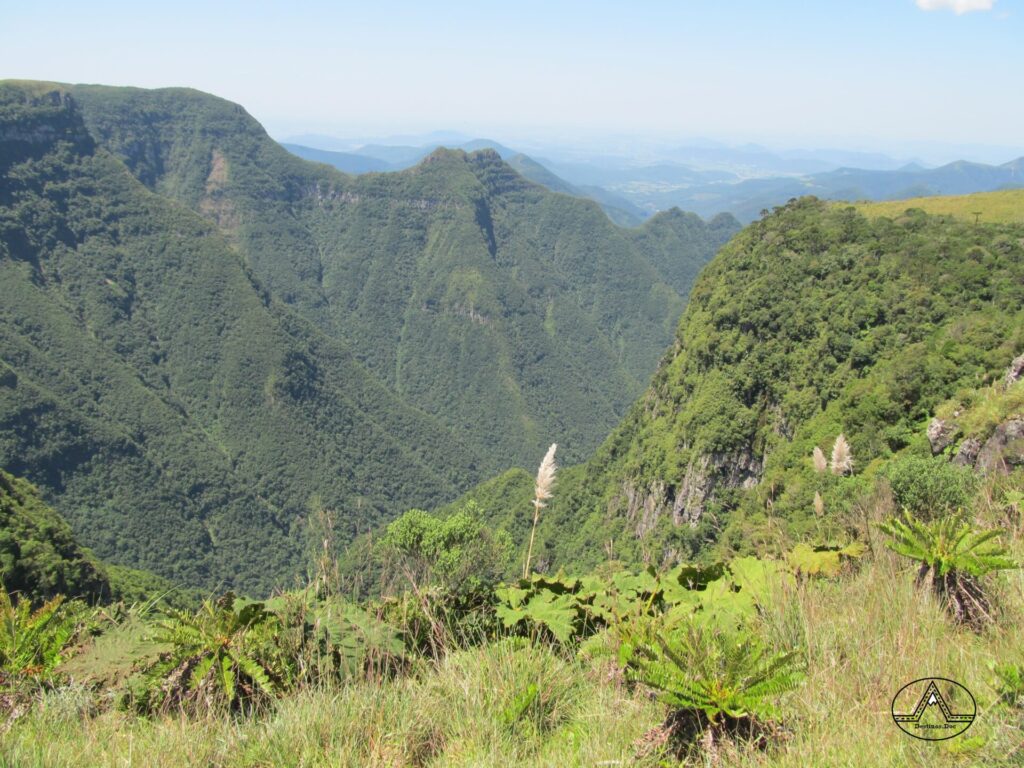 Pico do Monte Negro