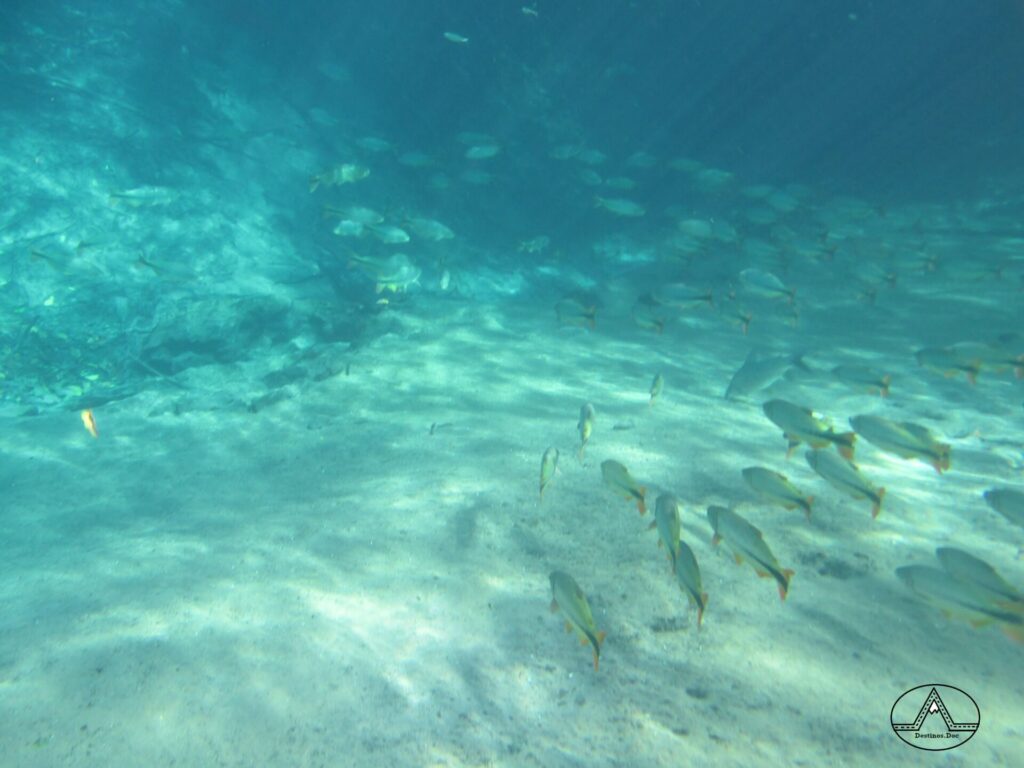 Gruta do Lago Azul